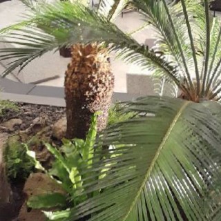 유저 프로필 사진