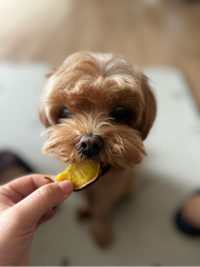 미미#EZks님의 프로필 이미지