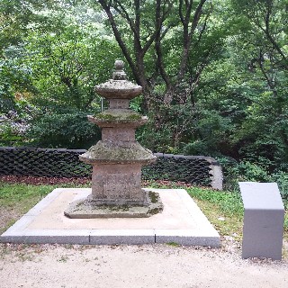 유저 프로필 사진