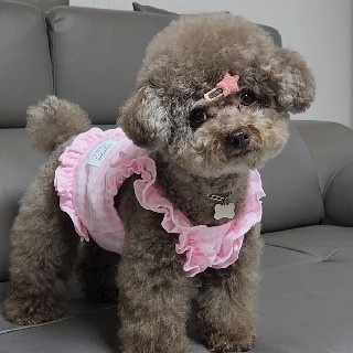 Grace#0Ypn님의 프로필 이미지