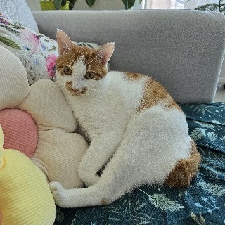 Jelena Srbija님의 프로필 이미지