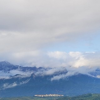 muse0823님의 프로필 이미지