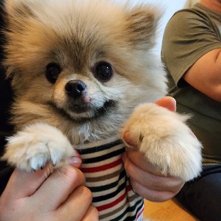 늦으면 답없어요