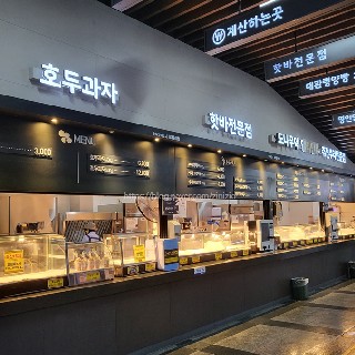 구름위를걷는독수리