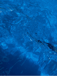 배고파ㅜㅜ🥯님의 프로필 이미지