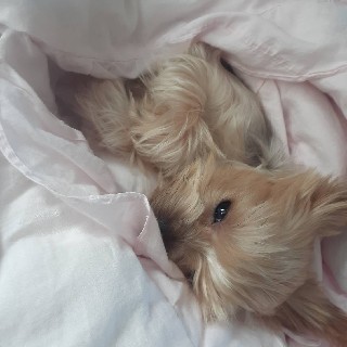 유저 프로필 사진