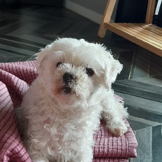 유저 프로필 사진