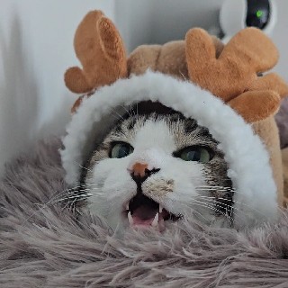 프로필 이미지