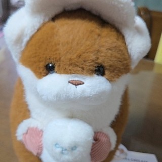 김인자것(접근금지)