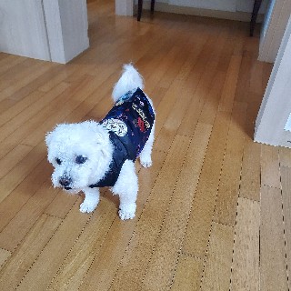 유저 프로필 사진