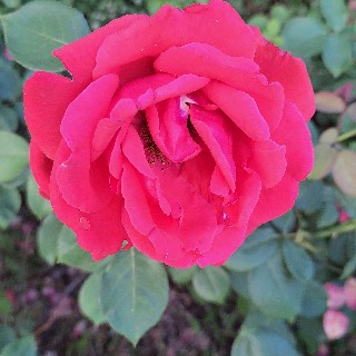 프로필 이미지