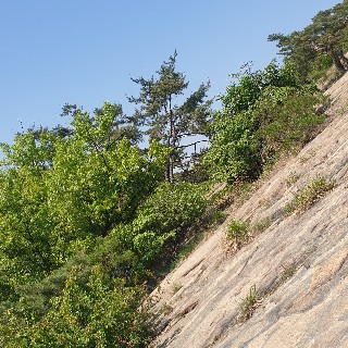 활동적인나무늘보님의 프로필 이미지