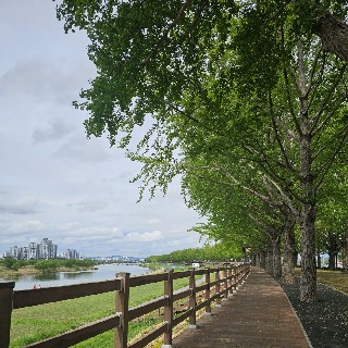 여여화님의 프로필 이미지