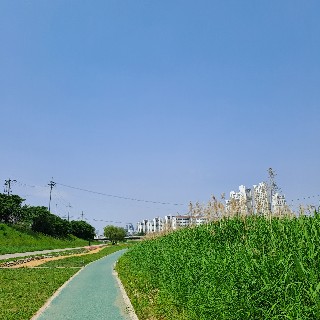 유저 프로필 사진