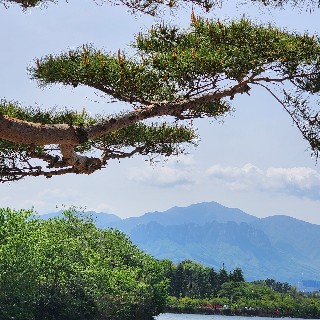 좋은걸