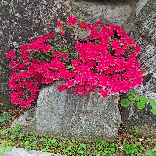 유저 프로필 사진