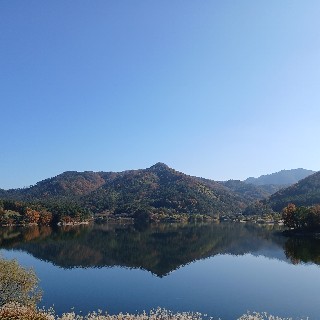 유저 프로필 사진
