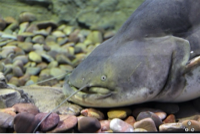 _미스터 킴님의 프로필 이미지