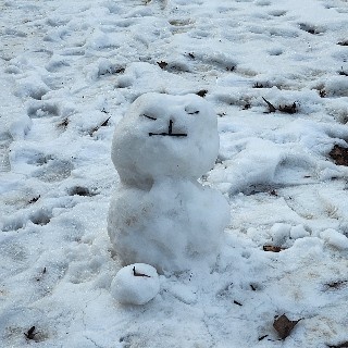 유저 프로필 사진