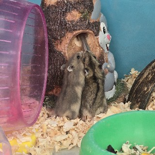 R2#4apc님의 프로필 이미지