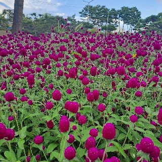 유저 프로필 사진