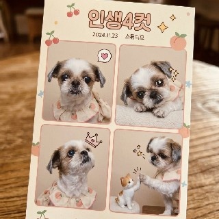프로필 이미지