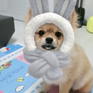 프로필 이미지