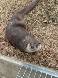 수수수#Szta님의 프로필 이미지