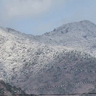 유저 프로필 사진