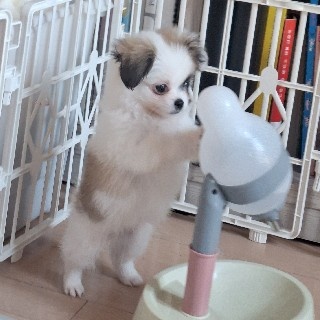 또띠#CQtv 프로필