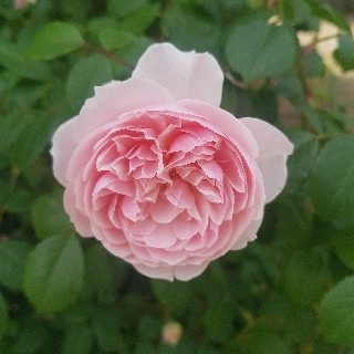 유저 프로필 사진
