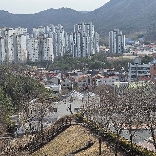 유저 프로필 사진