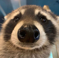 우미룽님의 프로필 이미지