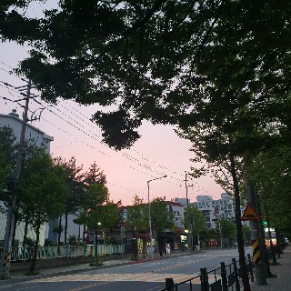 유저 프로필 사진