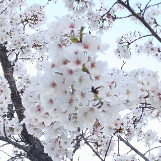 유저 프로필 사진