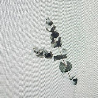 제이#KWUX 프로필