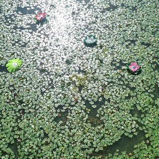 행운잉#9z9G님의 프로필 이미지