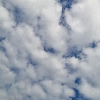 🍀구름🍀 유저 프로필 이미지