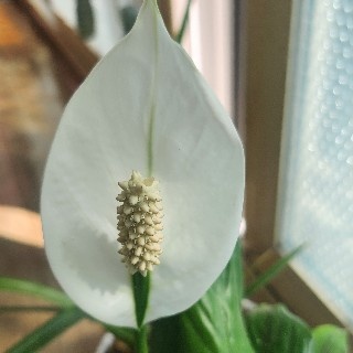 이박사#ip0p님의 프로필 이미지