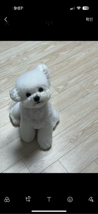 이소중#FL34님의 프로필 이미지