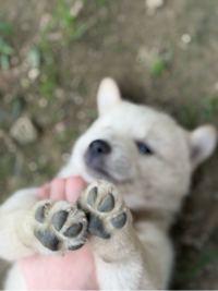 카키코키님의 프로필 이미지