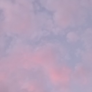 KRNFATWF님의 프로필 이미지