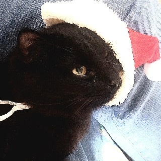 KRWJSFY님의 프로필 이미지