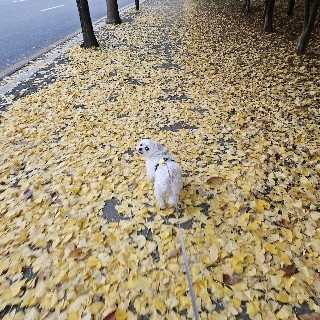 KRMS6HE님의 프로필 이미지