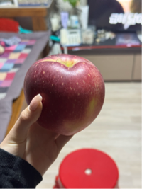 사과#Ivjg님의 프로필 이미지