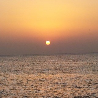 유저 프로필 사진