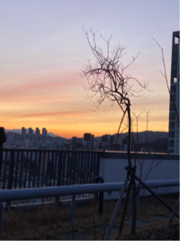 WYW님의 프로필 이미지