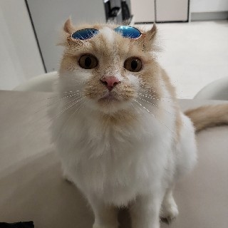 뜽미#nR2X님의 프로필 이미지