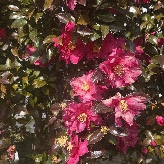 Dj_soriparty님의 프로필 이미지