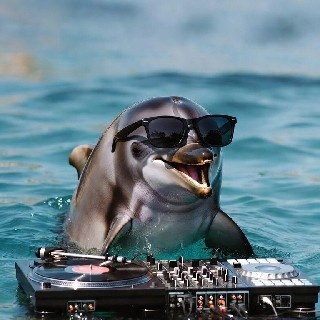 Dj_soriparty님의 프로필 이미지